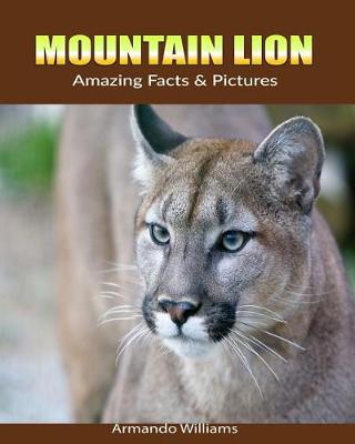 Book cover for Mountain Lion