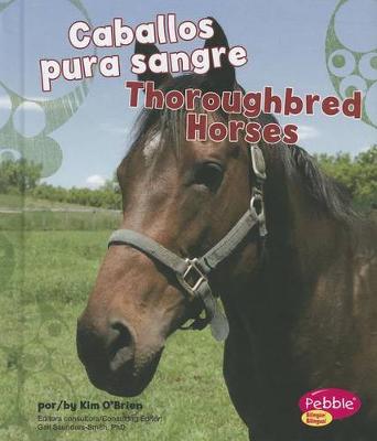 Book cover for Caballos Pura Sangre/Thoroughbred Horses