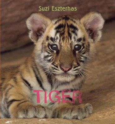 Book cover for Tiger