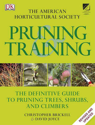 Cover of Pruning & Training