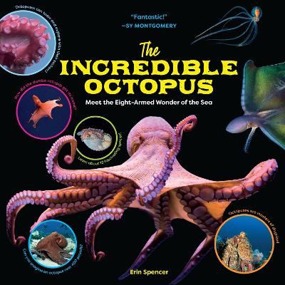 Book cover for The Incredible Octopus