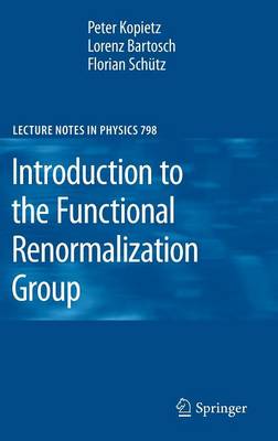 Book cover for Introduction to the Functional Renormalization Group