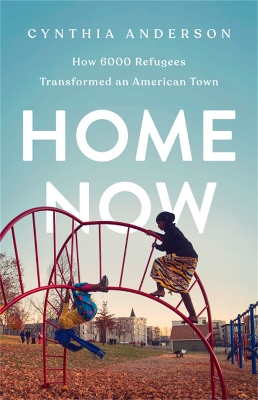 Book cover for Home Now