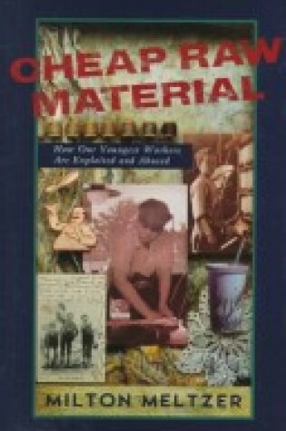 Cover of Cheap Raw Material