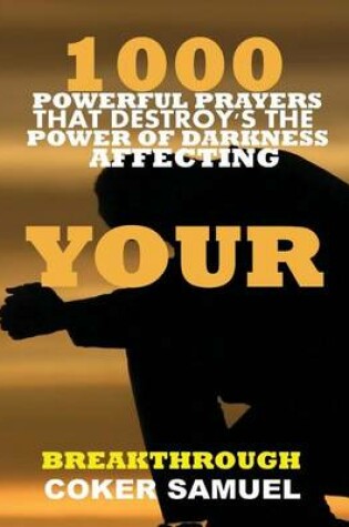 Cover of 1000 Powerful Prayers That Destroys the Power of Darkness Affecting Your Breakthrough