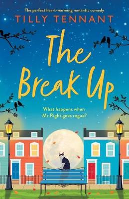 Book cover for The Break Up