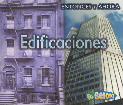 Book cover for Edificaciones