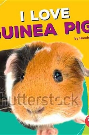 Cover of I Love Guinea Pigs