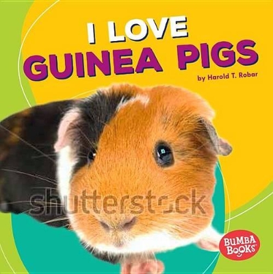 Cover of I Love Guinea Pigs