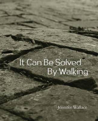 Book cover for It Can Be Solved by Walking