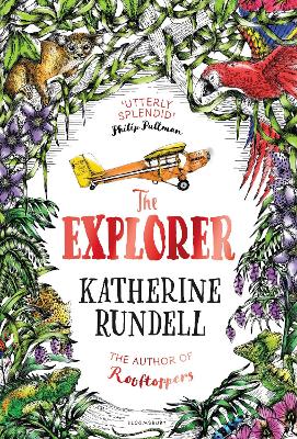 Book cover for The Explorer