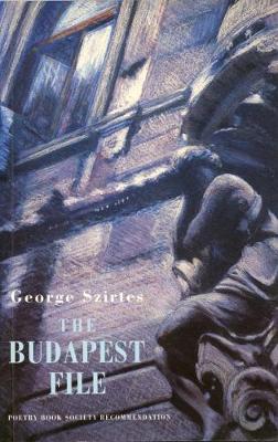 Book cover for The Budapest File