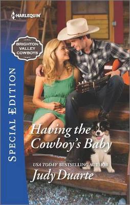 Book cover for Having the Cowboy's Baby