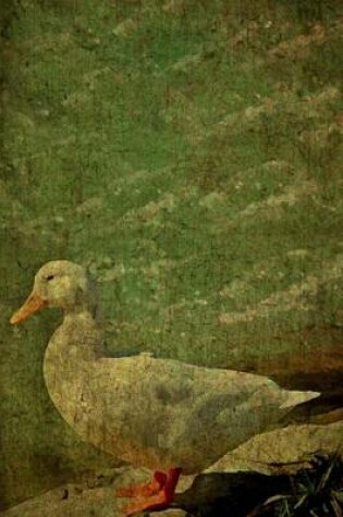 Cover of Duck