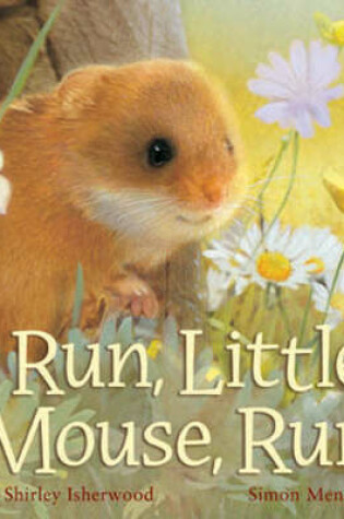 Cover of Run, Little Mouse, Run!