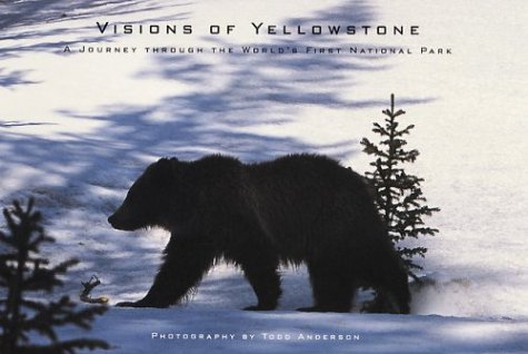 Book cover for Visions of Yellowstone