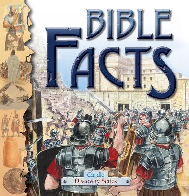 Book cover for Bible Facts