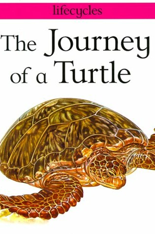 Cover of The Journey of a Turtle