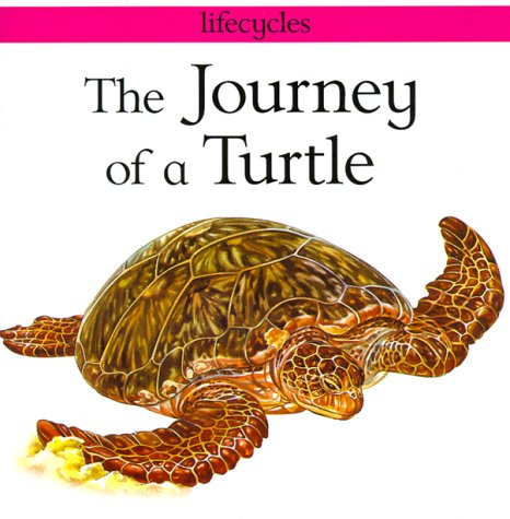 Cover of The Journey of a Turtle