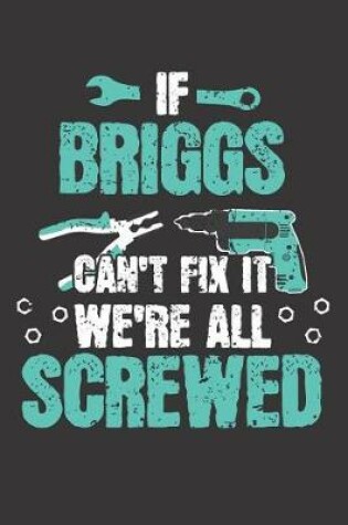 Cover of If BRIGGS Can't Fix It