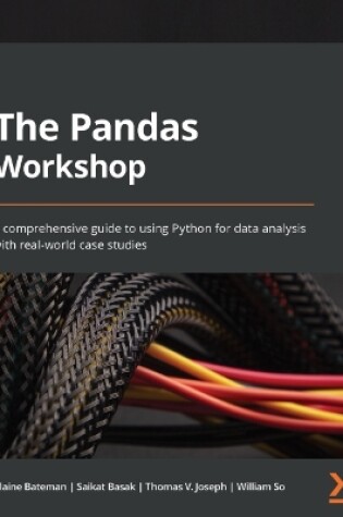 Cover of The Pandas Workshop