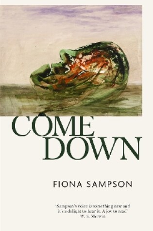 Cover of Come Down