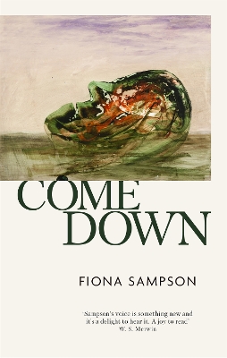 Book cover for Come Down