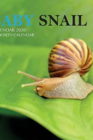 Cover of Baby Snail Calendar 2020