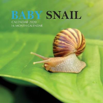 Book cover for Baby Snail Calendar 2020