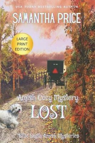 Cover of Amish Cozy Mystery