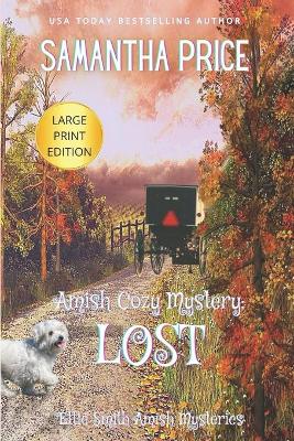 Book cover for Amish Cozy Mystery