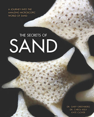 Book cover for The Secrets of Sand