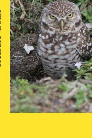 Cover of Owls of the Treasure Coast
