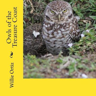 Book cover for Owls of the Treasure Coast
