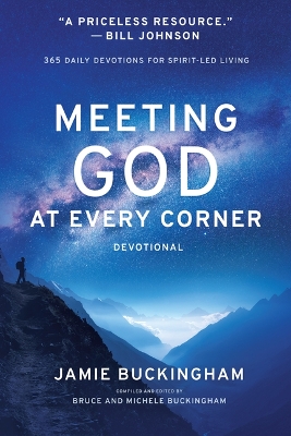 Book cover for Meeting God At Every Corner
