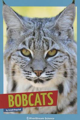 Book cover for Bobcats