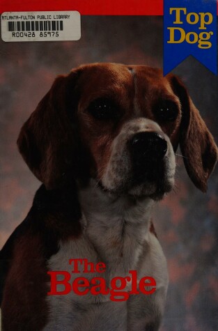 Book cover for The Beagle