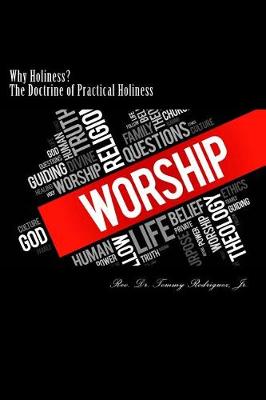 Book cover for Why Holiness?