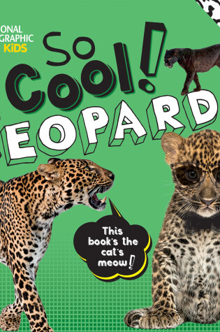 Cover of So Cool! Leopards