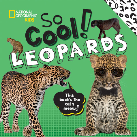 Book cover for So Cool! Leopards