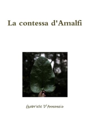 Cover of La contessa d'Amalfi
