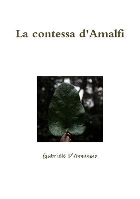 Book cover for La contessa d'Amalfi