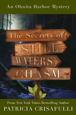 Cover of The Secrets of Still Waters Chasm