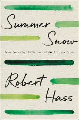 Cover of Summer Snow