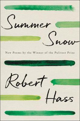 Book cover for Summer Snow