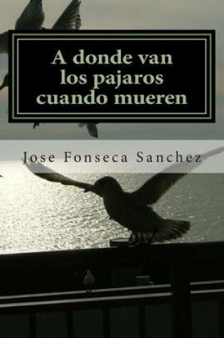 Cover of A donde van los pajaros cuando mueren