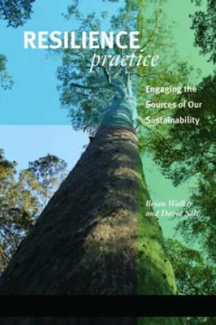 Cover of Resilience Practice