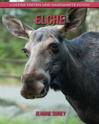 Book cover for Elche
