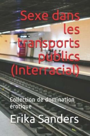 Cover of Sexe dans les transports publics (Interracial)