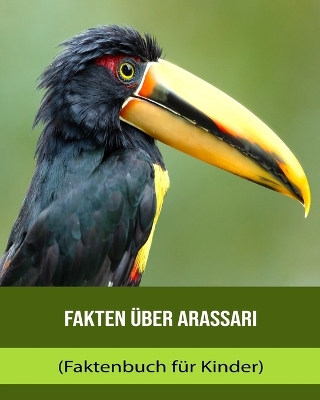 Book cover for Fakten über Arassari (Faktenbuch für Kinder)